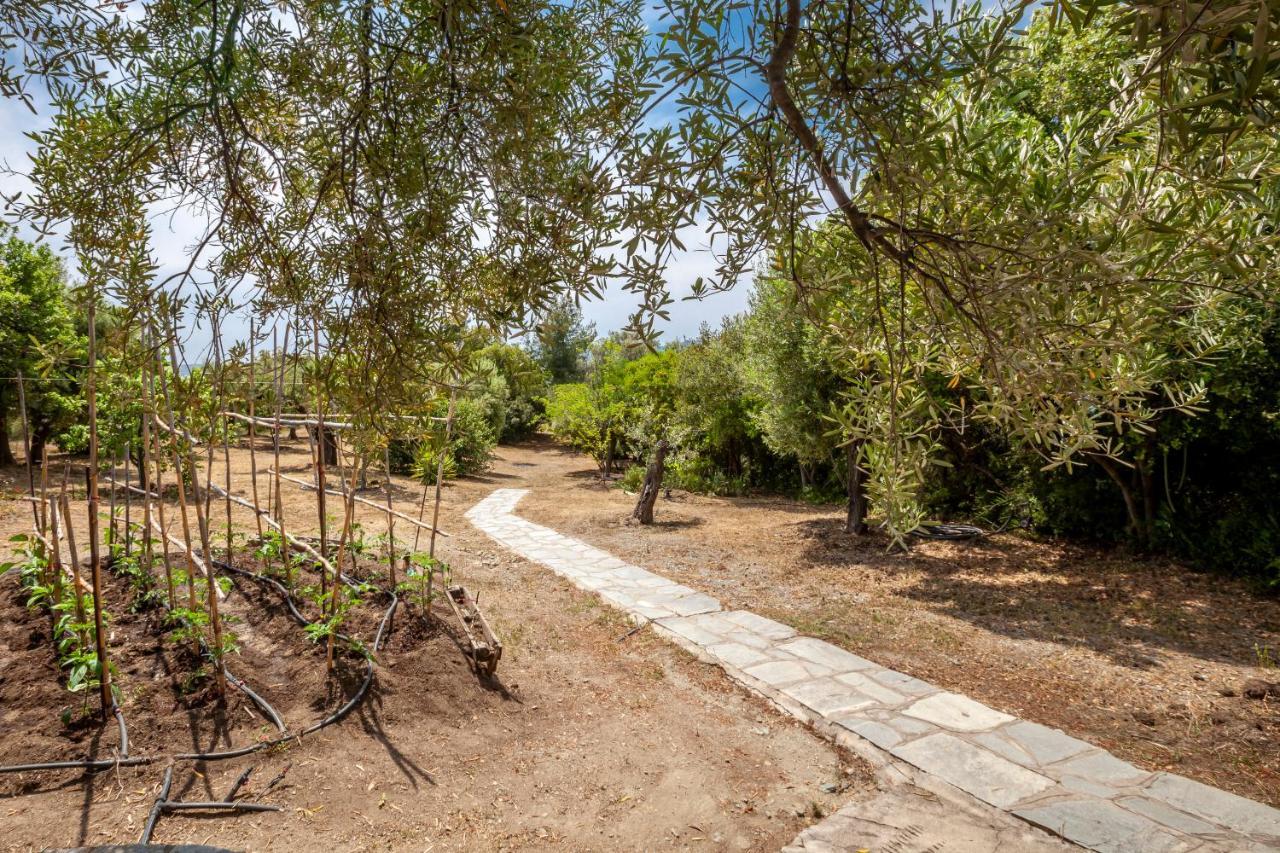 Hidden Gem Sithonia Villa Metochi Agias Kiriakis Exteriör bild