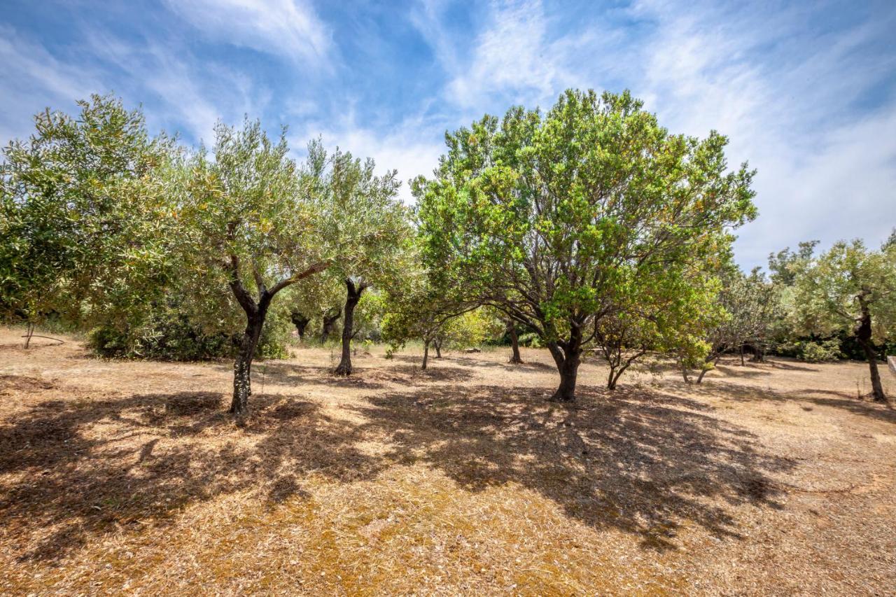 Hidden Gem Sithonia Villa Metochi Agias Kiriakis Exteriör bild